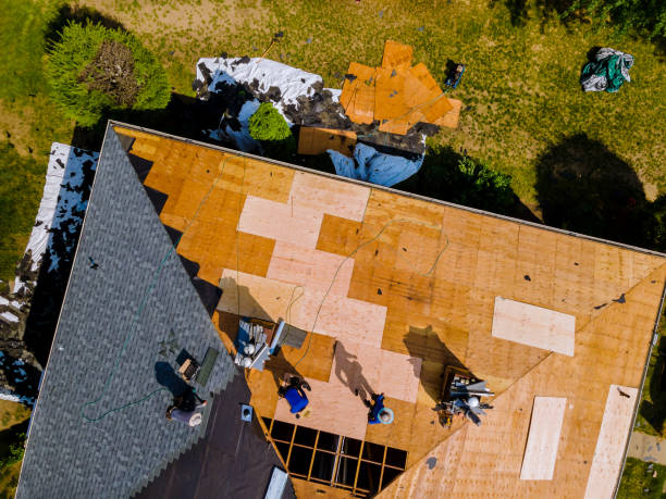 Best Storm Damage Roof Repair  in Cressona, PA