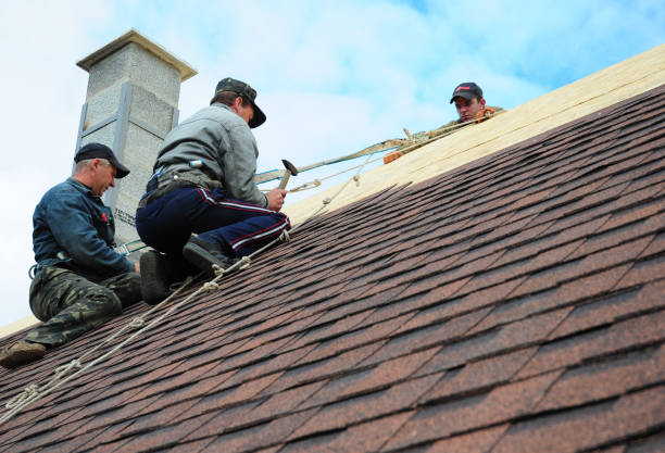 Best Roof Gutter Cleaning  in Cressona, PA